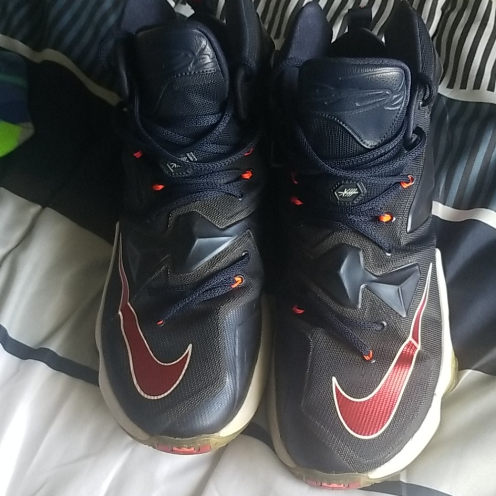 Lebrons - Picture 2 of 6